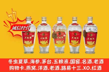 伊犁州奎屯市回收老五粮液