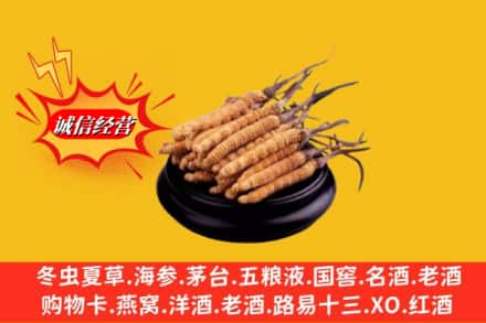 伊犁州奎屯市求购回收虫草多少钱每克